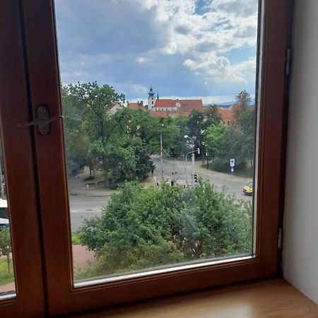 Riegrova Daire Ceske Budejovice Dış mekan fotoğraf