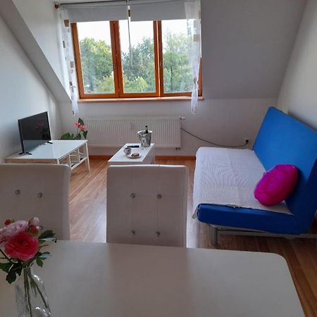 Riegrova Daire Ceske Budejovice Dış mekan fotoğraf