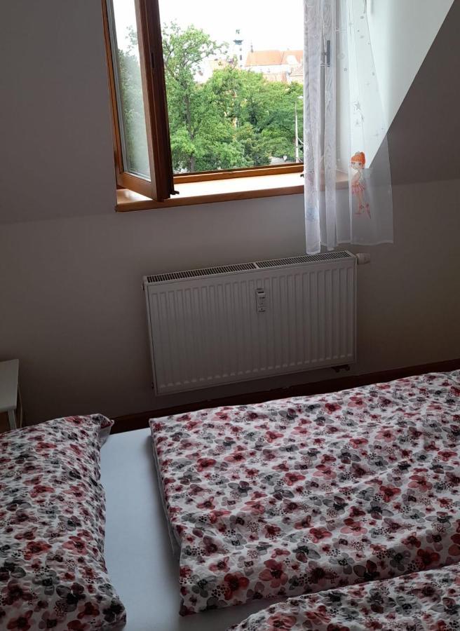 Riegrova Daire Ceske Budejovice Dış mekan fotoğraf