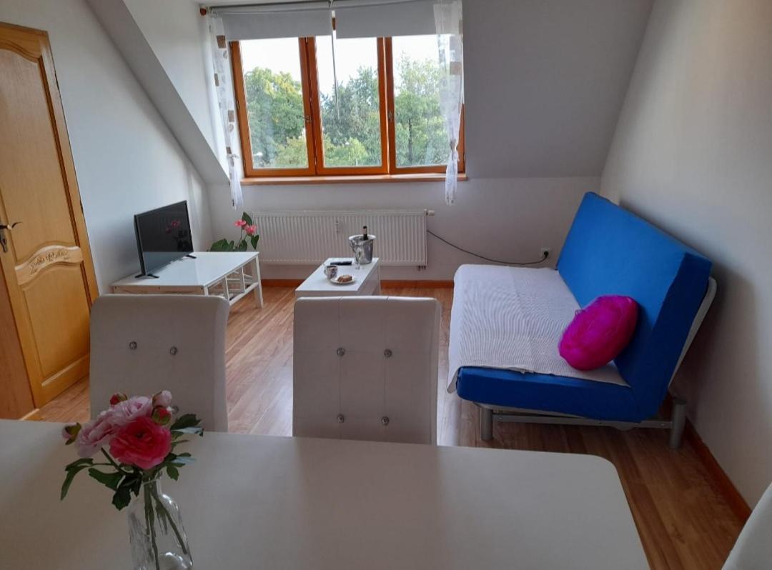 Riegrova Daire Ceske Budejovice Dış mekan fotoğraf